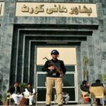 علیمہ خان کو پی ٹی آئی چیئرمین بنانےکی مہم چلائی جارہی ہے،وزیراعلیٰ گنڈاپور