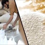 KP Finance Adviser Slams Wheat Price Surge, Mafia Role