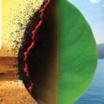 ضلع خیبر تحصیل باڑہ میں دریا ئے باڑہ موجودہ وقت میں مکمل طورپر خشک