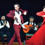 Mohammad Rizwan Refuses PCB Central Contract Over Demotion