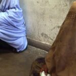 پشتو موسیقی کی دلکش آواز ارشاد خان کا نیا گانا ’خال‘ شائقین کیلئے ریلیز