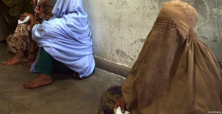 WhatsApp Image 2026 02 20 at 12.24.21 AM