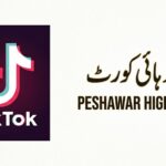پشاور ہائیکورٹ، ٹک ٹاک پر پابندی سے متعلق درخواست کی سماعت، ریگولیٹری اتھارٹی سے وضاحت طلب